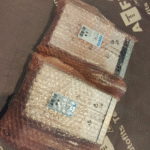 Festo DFM-25-100-P-A-GF Guided drive 170853